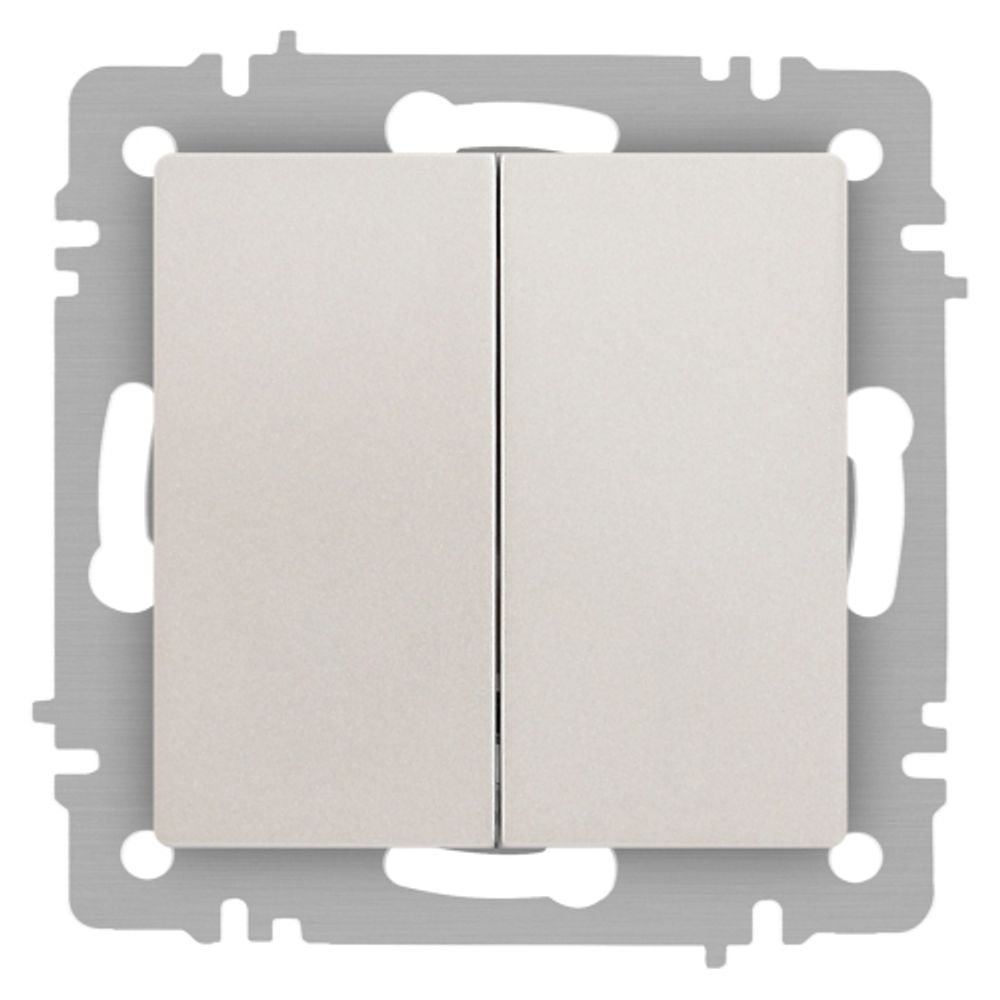 Переключатель Intro Accent 6-107-06 двойной, 10А-250В, IP20, СУ, AL/CU, перламутр | Intro