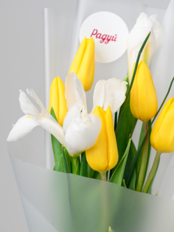 Дуо букет Ирисы с Тюльпанами