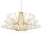 Подвесной светильник Loft IT Coppelia 10476 Gold