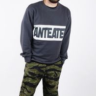 Свитшот ANTEATER HOOD, комбо серый