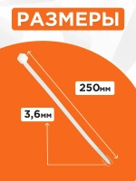 Cablexpert Стяжка 3.6мм x 250мм, 100 шт., Нейлон