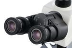 Микроскоп цифровой Levenhuk MED D45T LCD, тринокулярный