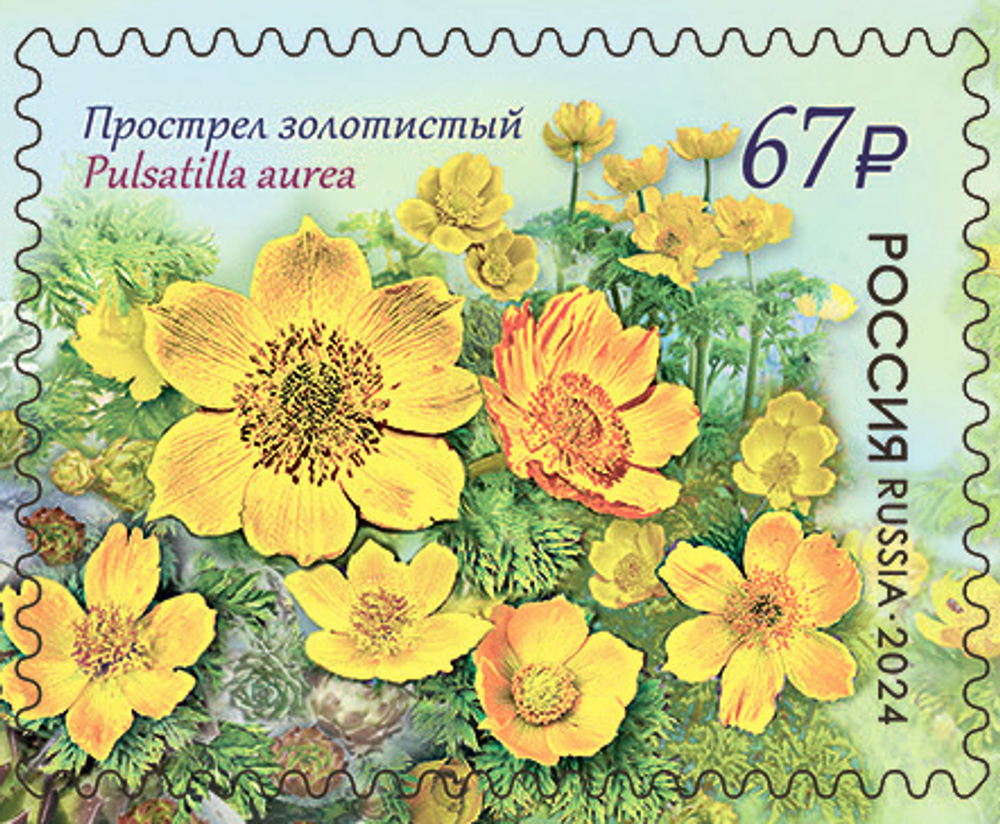 Марка номиналом 67 рублей. Серия «Флора России. К 100-летию Кавказского государственного заповедника»