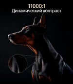 Проектор JMGO N5 Ultra Max
