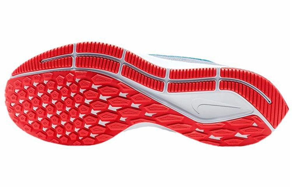 Кроссовки Nike Pegasus 36 Jdi