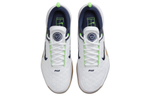 Кроссовки Nike Zoom Court Nxt Hc