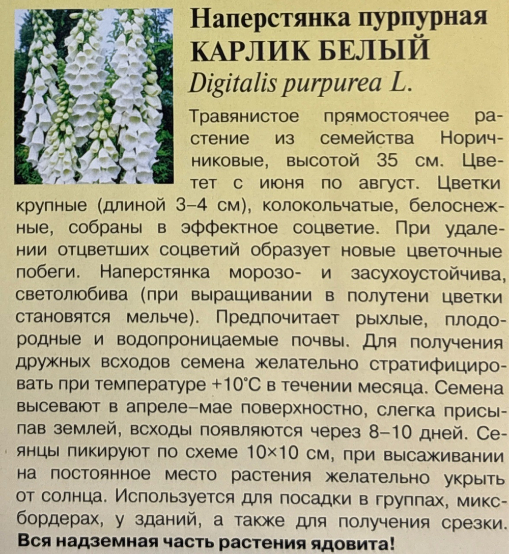 Наперстянка Карлик белый 0,02 г СМЦ-653