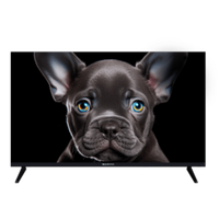 Телевизор Topdevice 32" Smart SBER (TDTV32CS08H_BK)