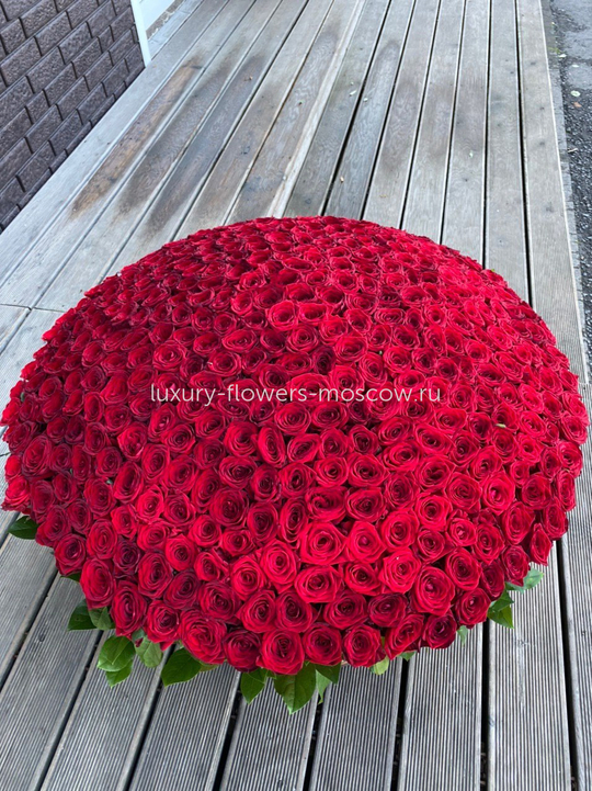 501 Красная Роза в Корзине