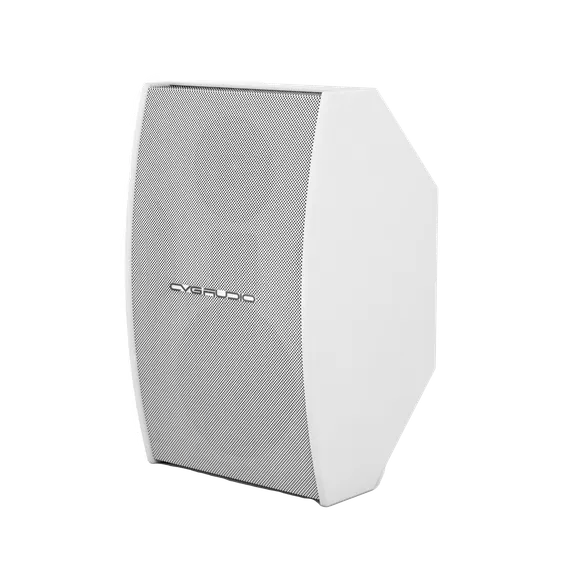 CVGAUDIO AXE6:3:4W инсталляционная акустическая система, мощность – 120W(AES)/240W(max)