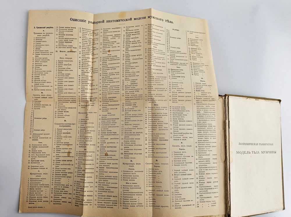 "Новый способ лечения. Лечение целебными силами природы."  М. Платен. 1906 г.