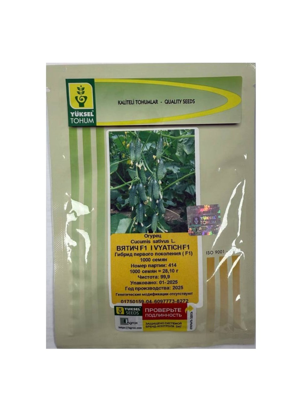 Вятич F1 семена огурца партенокарпического