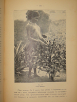 "Среди патриархов земледелия народов Ближнего и Дальнего Востока ( Египет, Индия, Цейлон, Китай и Япония ). В 3-х томах". И.Н.Клинген. 1899г.