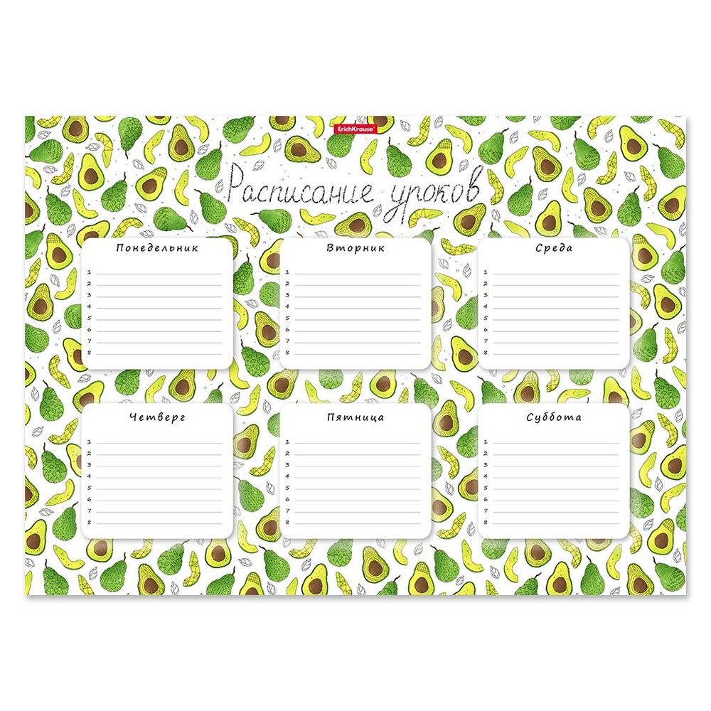 Расписание уроков А3 297 х 410 мм, Erich Krause, плотный мелованный картон, "Яркие дольки" (авокадо)
