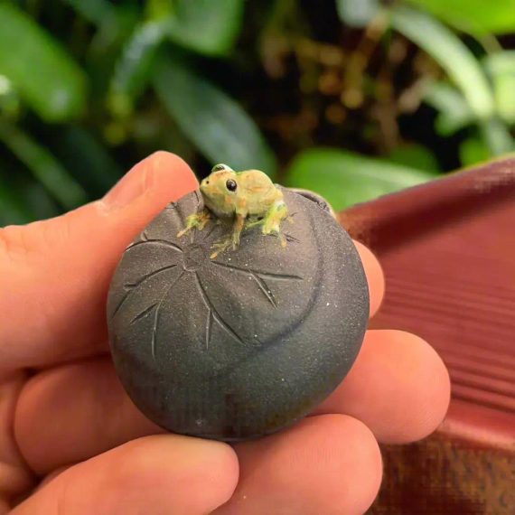 Фигурка Лягушка на лотосе, водный эффект, глина, 3 см