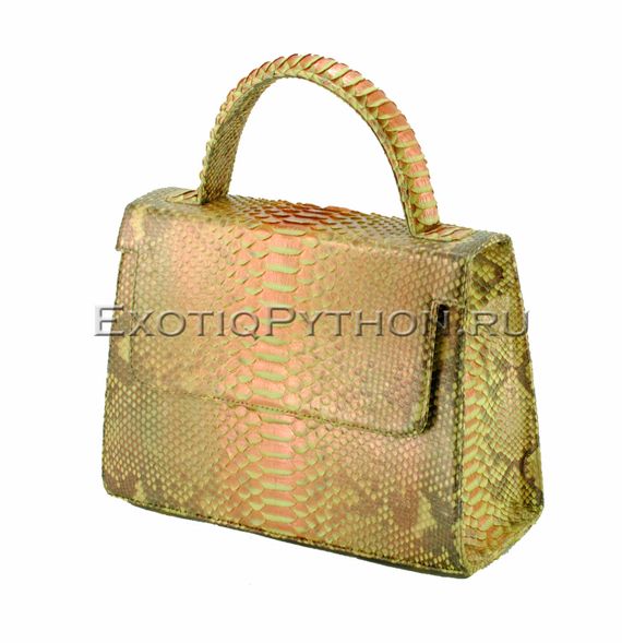 Сумка из кожи питона BG-287