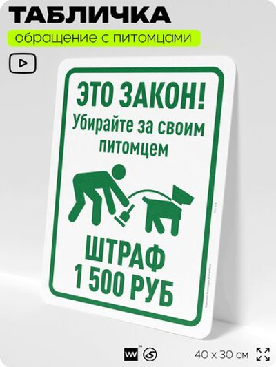 Табличка "Убирайте за своим питомцем, штраф 1500 руб" на дверь и забор, для двора, дома, подъезда, 40х30 см, Silver Plane x Айдентика Технолоджи