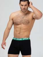 Хлопковые трусы-боксеры с двойным гульфиком (Размер: M) (Цвет: зеленый)