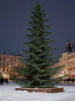 "Лесная" елка ствольная уличая