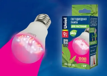 Фитолампа для рассады и растений светодиодная 9 Вт, UNIEL, LED-A60-9W/SP/E27/CL