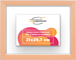 Рама 21x29,7 для картин и фотографий