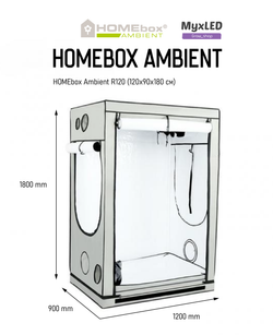 HomeBox Ambient