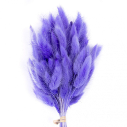 Сухоцветы ЛАГУРУС 65см 34гр ЯРКИЙ