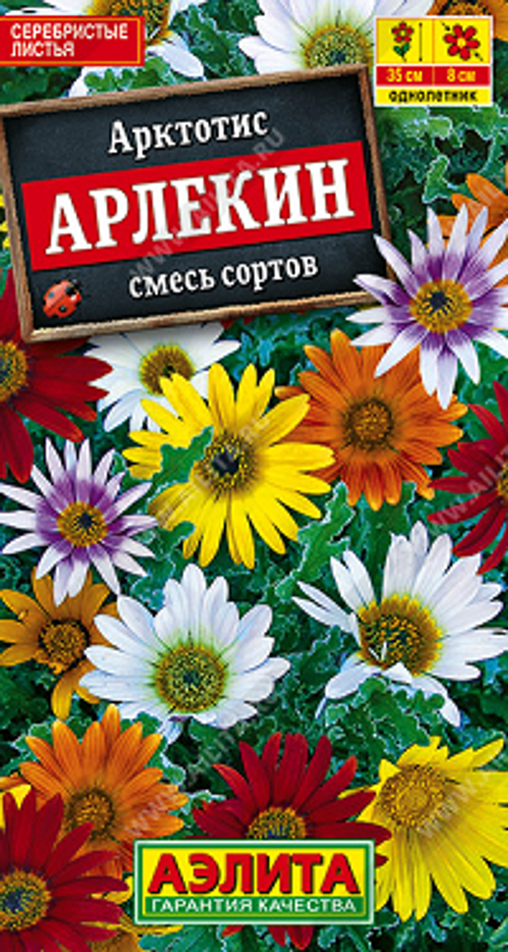 Арктотис гибридный Арлекин, смесь окрасок