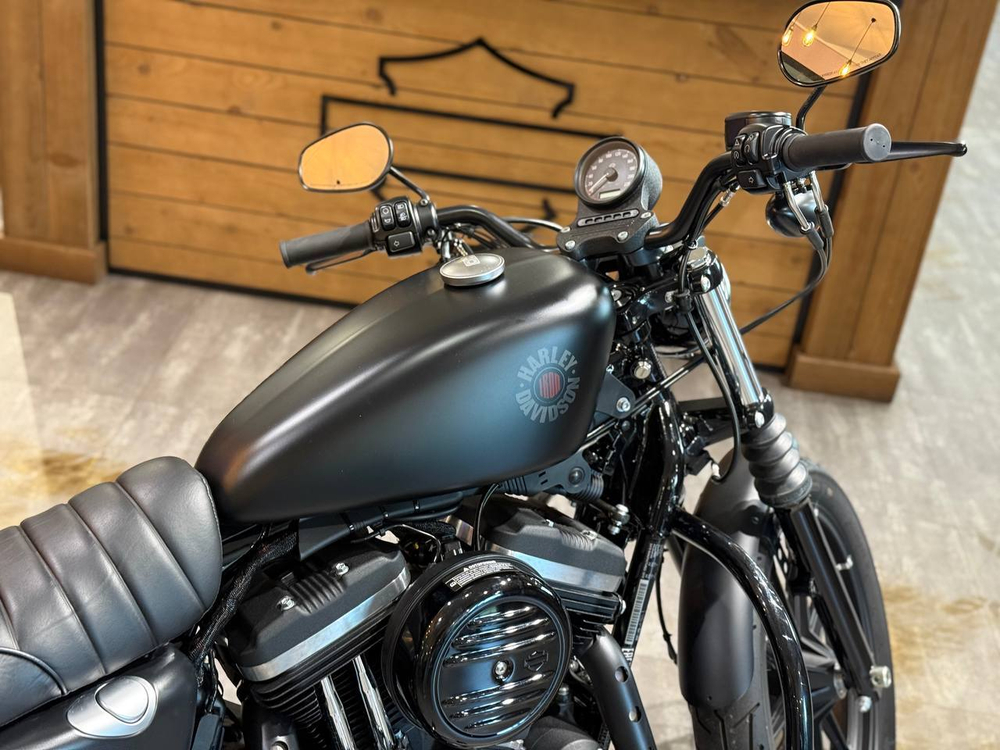 Harley-Davidson Iron 883 (2019)