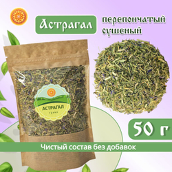 Астрагал перепончатый.