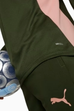 Кофта Puma Manchester City 24/25 Training - зеленый