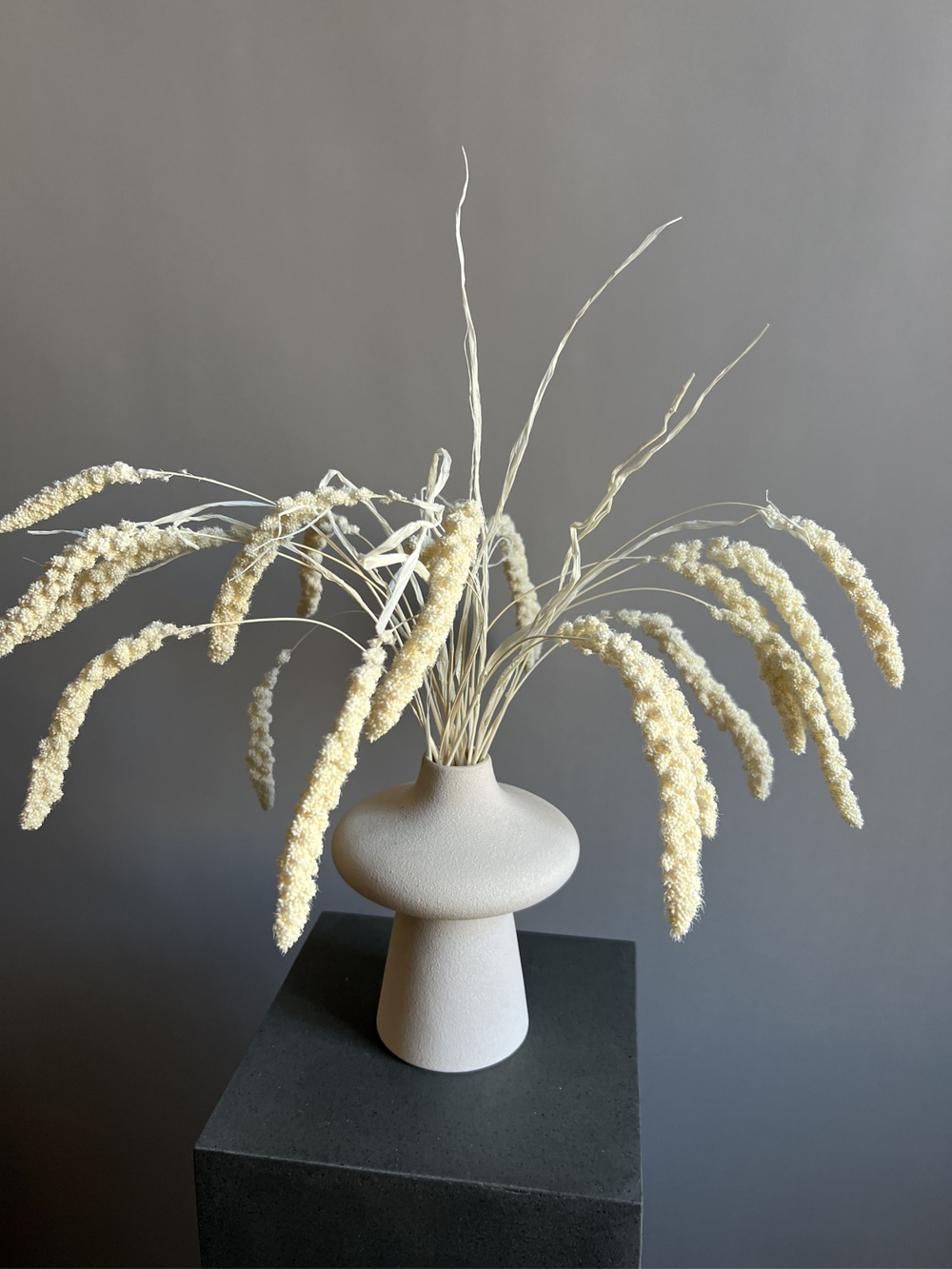 Сетария молочная