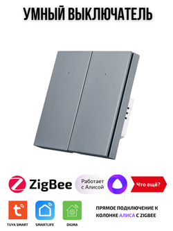 Умный выключатель ZigBee двухклавишный для Алисы