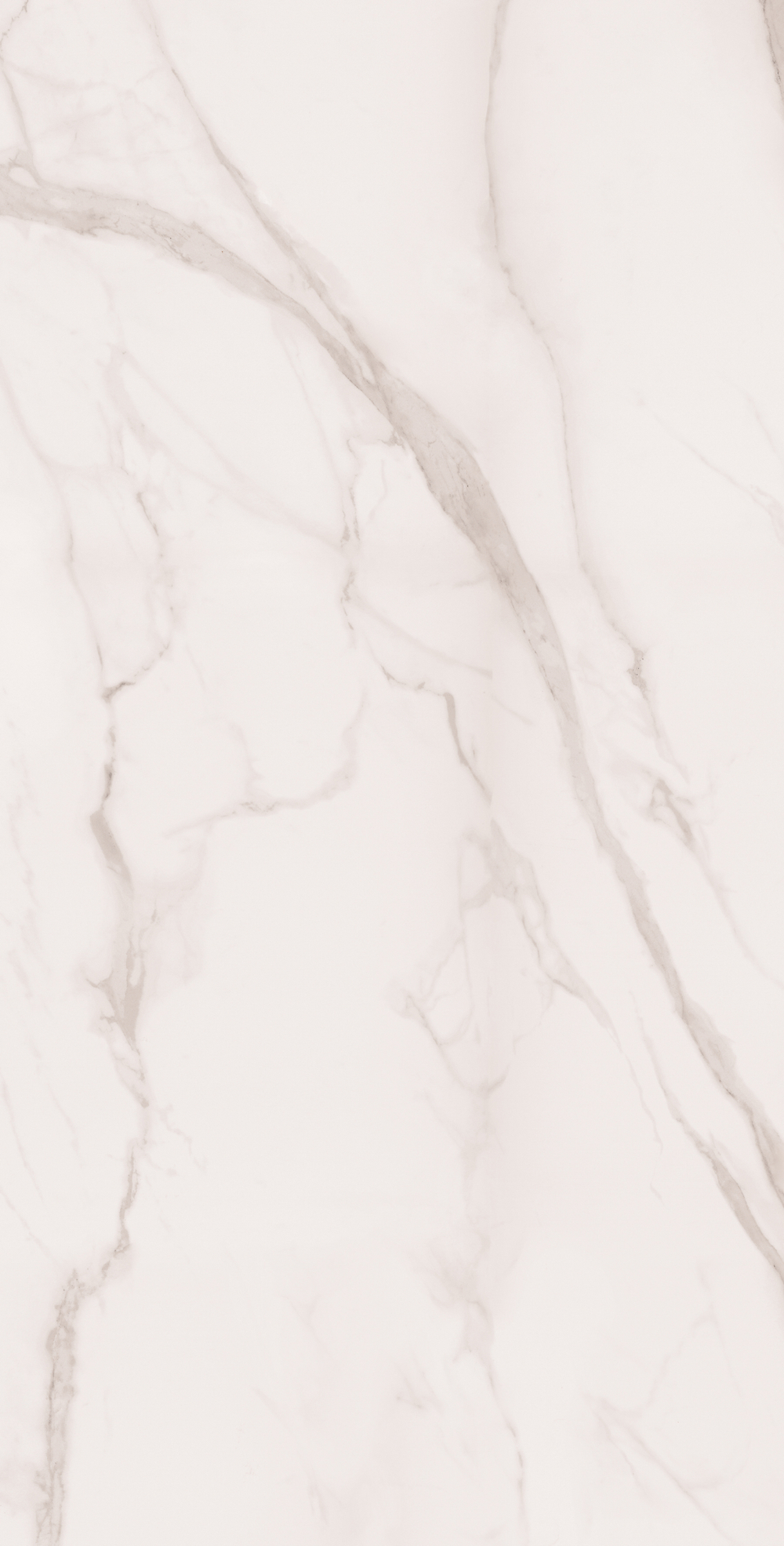 Керамогранит, Arcadia Ceramica, STATUARIO SILK, 1200x600 мм, сатиновая