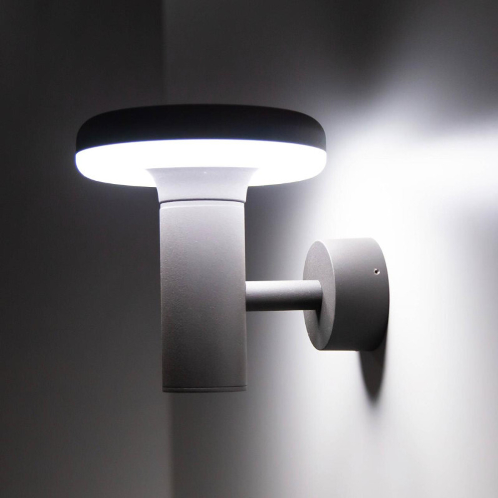 Уличный настенный светильник Citilux CLU01W