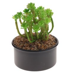 GAEM Цветочная композиция, L13 W13 H20 см