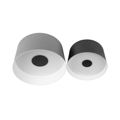 Потолочный светодиодный светильник Loft It Duo 10360/2