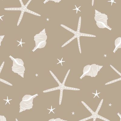 Морские звезды и ракушки