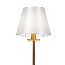 Настольный светильник Freya FR1006TL-01G