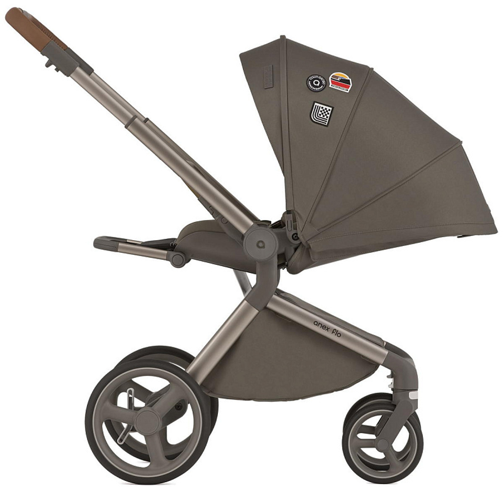Детская коляска Anex Flo 2 в 1 Cesar