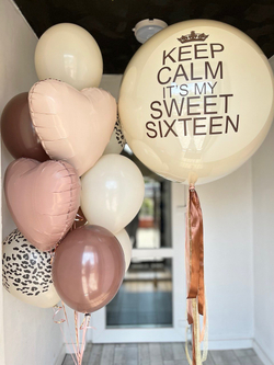 Воздушные шары №669