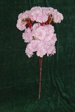 Букет сакуры с хвостиками