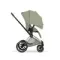 Детская коляска Cybex Priam V Style 2 в 1 Sage Green