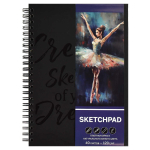 Скетчпад А5+ 40л. белый офсет на гребне "Балерина" (Феникс+)