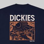  Футболка мужская Dickies Patrick Springs Tee артикул:DK0A4YR7DNX1 - купить в магазине Дайс