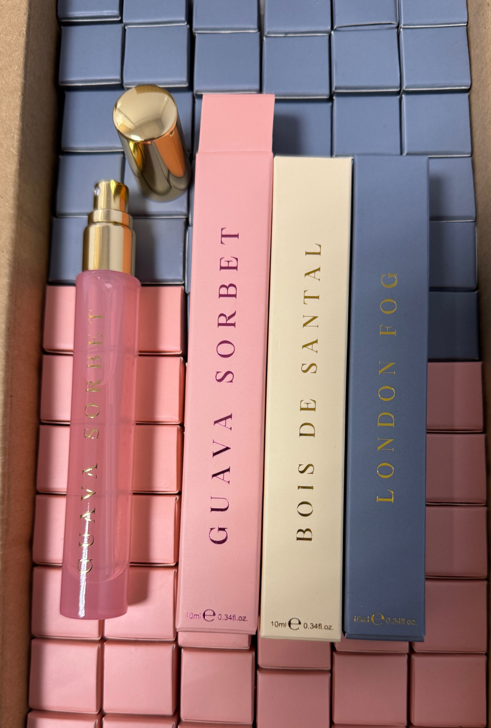 House Of Brandt Genesis