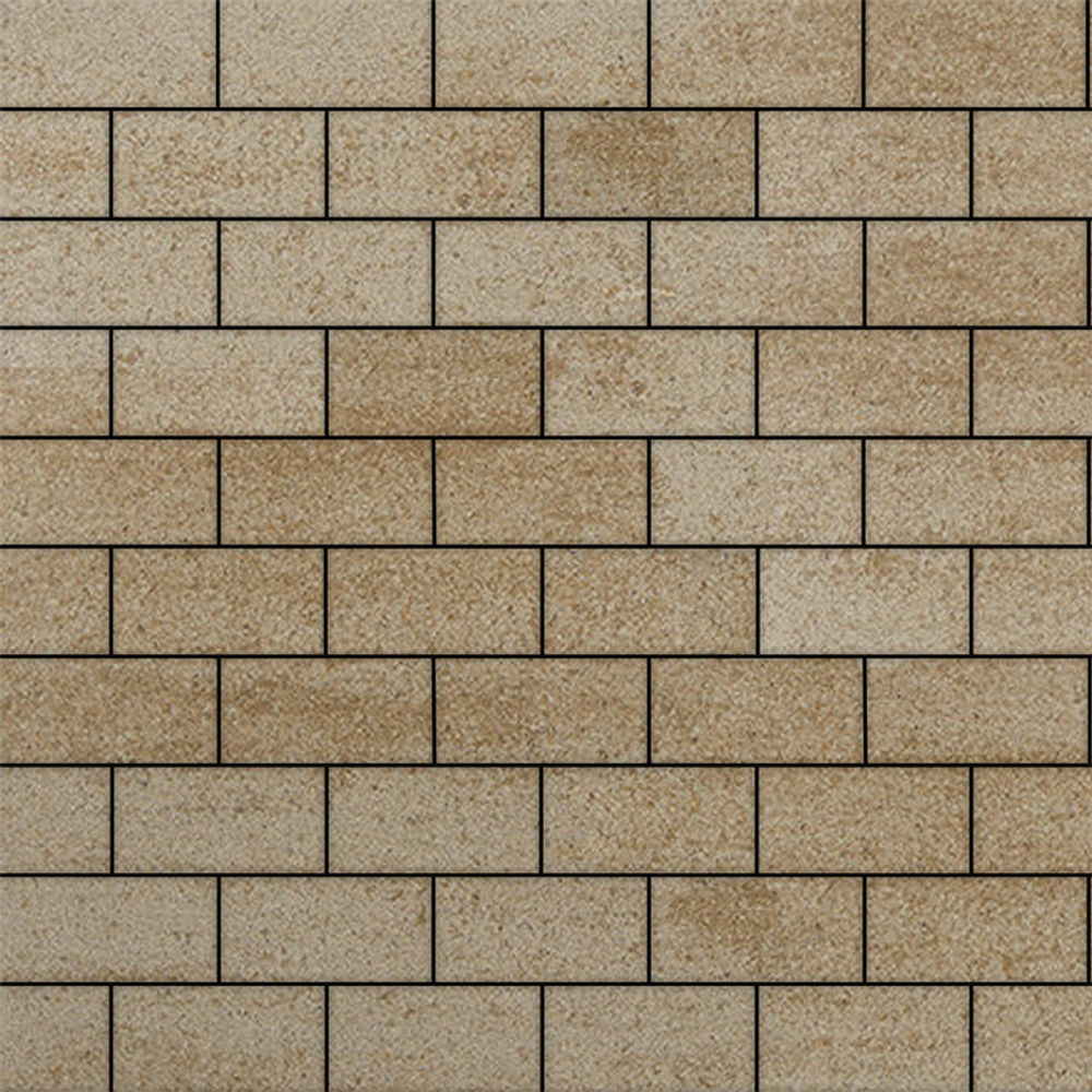 Тротуарная плитка ПРЯМОУГОЛЬНИК 200x100 мм - Искусственный камень Степняк