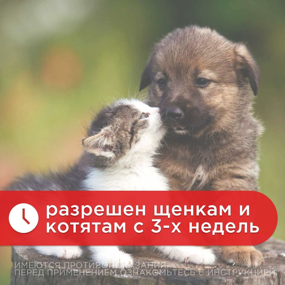 Суспензия от гельминтов для щенков и котят, сладкий вкус Чистотел Глистогон, 3мл. Пирантел/Празиквантел