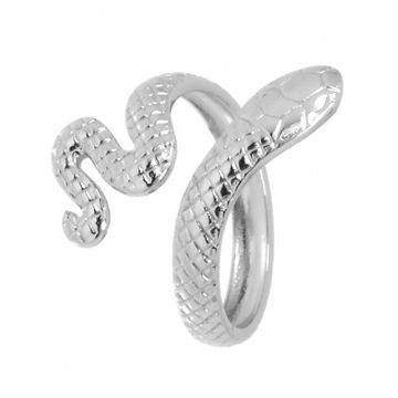 Кольцо стальное Змея (147)